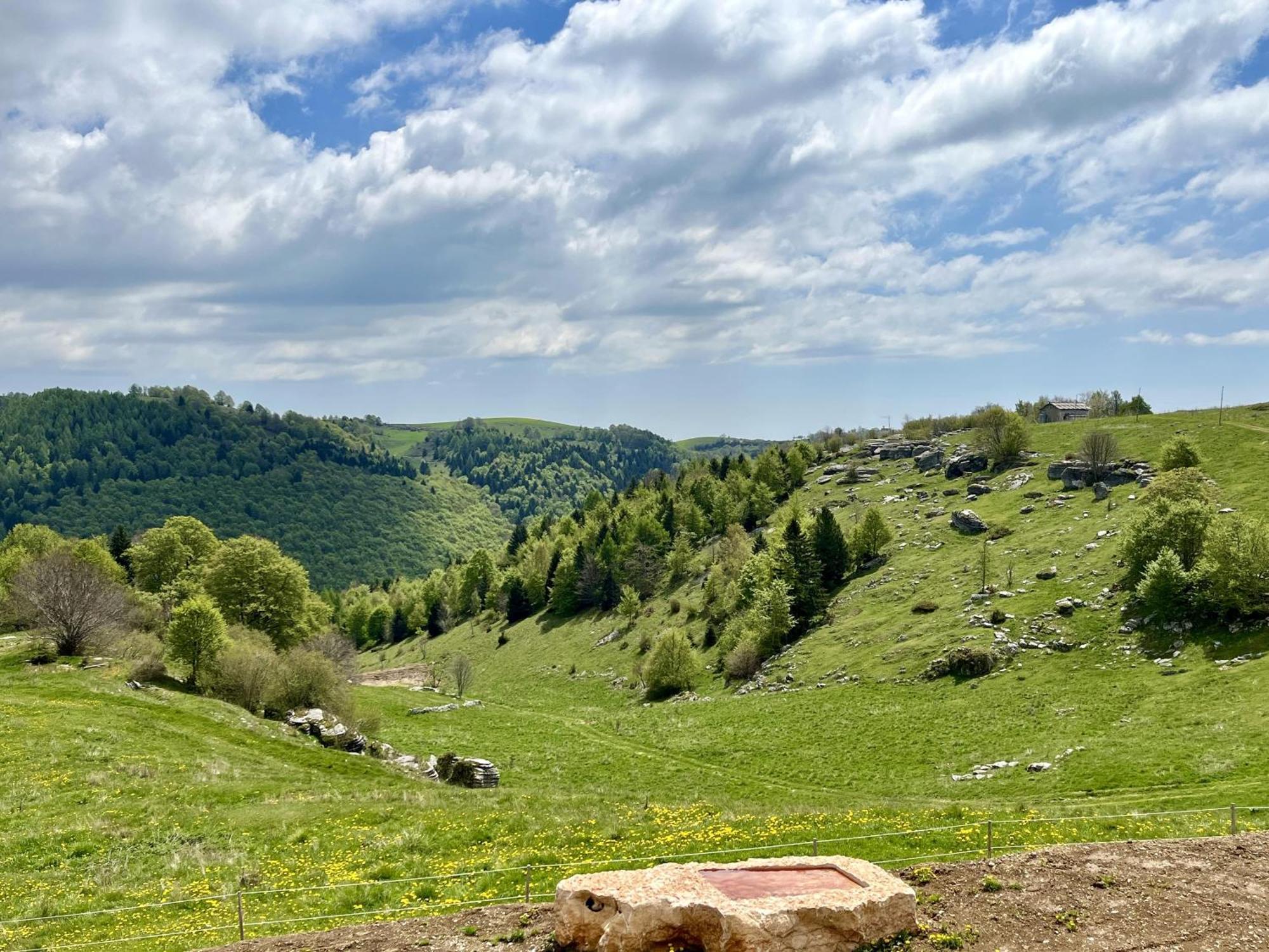 Villa Agriturismo Malga Rambalda à Selvavecchia Extérieur photo